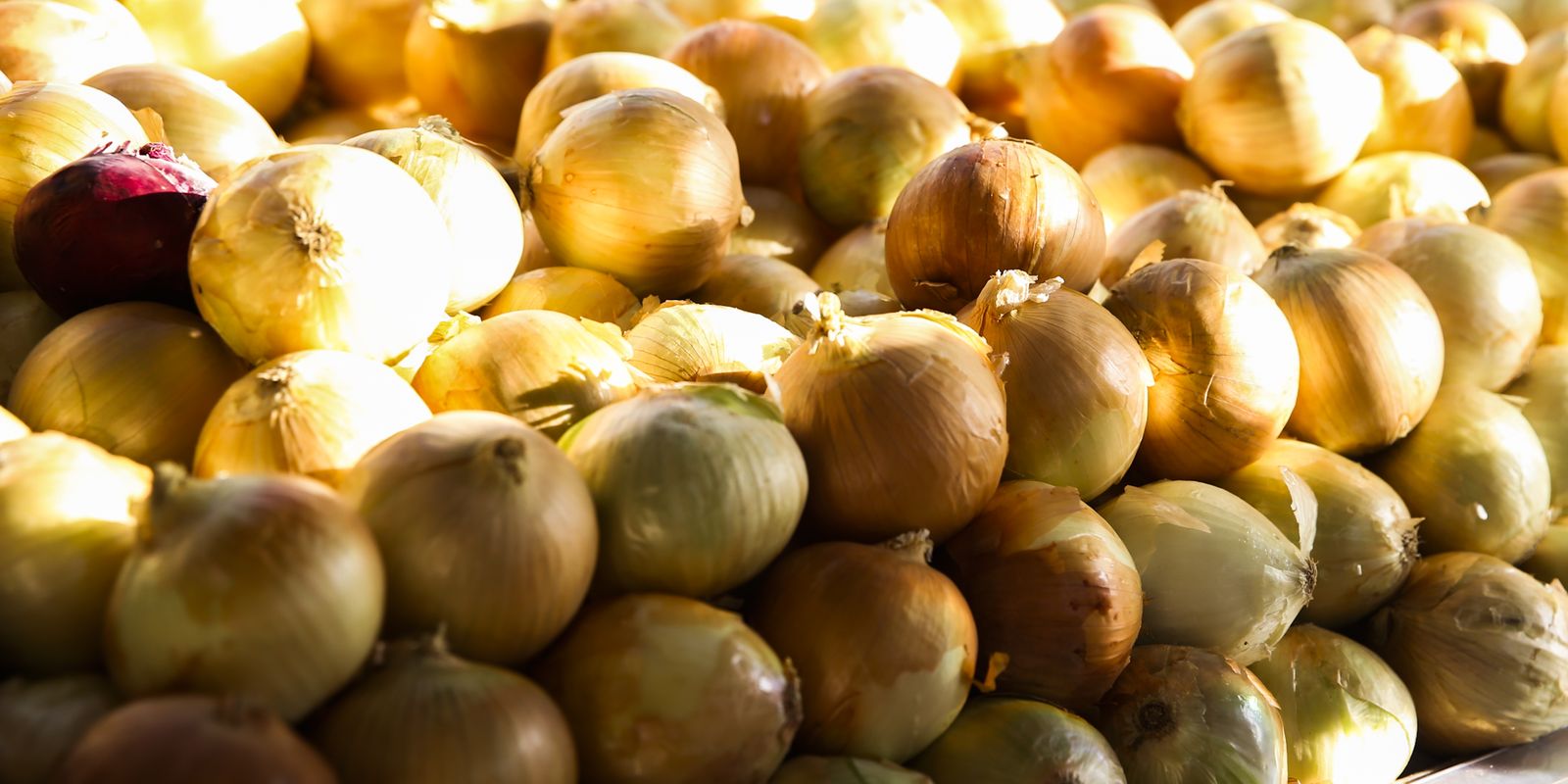 inflacao-acumulada-dos-alimentos-e-a-menor-desde-setembro-de-2024