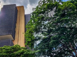 ferramenta-do-bc-permite-bloquear-abertura-de-contas-falsas-em-bancos
