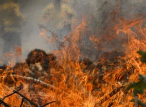 tocantins-registra-mais-de-mil-focos-de-queimadas-em-maio